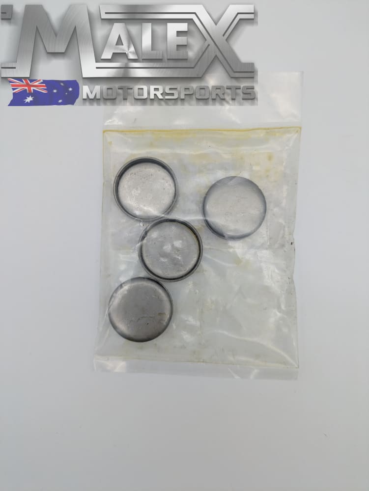 Cylinder Head (Coolant Plugs) Welch Plugs LS1, L98,LS2,L76 – Malex ...