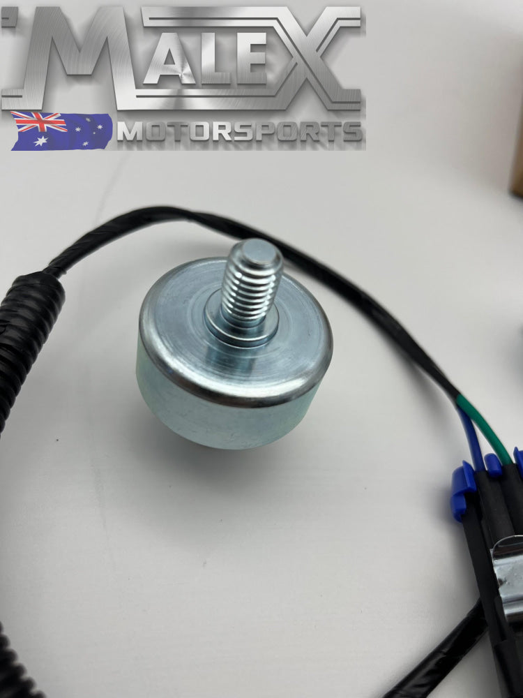 Dorman Ls1 Knock Sensor Kit Suit Vt Vx Vy Vz 5.7
