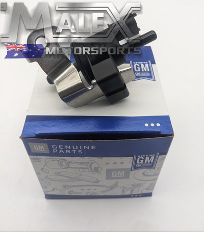 Genuine GM EVAP Purge Solenoid Series 1 VE V6 LEO LY7