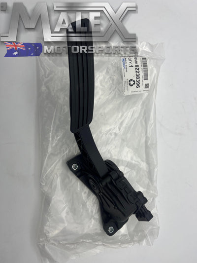 New GM Accelerator Pedal to suit E38 LS Conversion VE L98 LS2 LS3 LSA with PLUG Fly Drive By Wire (Copy)